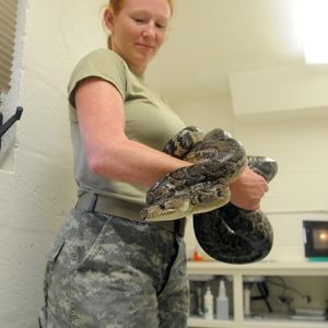 Meet your Posher, Jamie